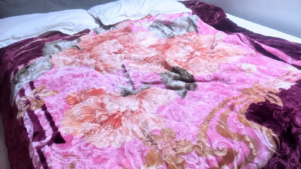 مراهقة عربية