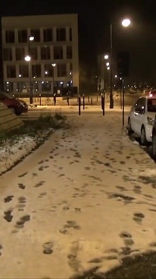 امرأة سمراء الساخنة مع كس مشعر يحصل سكران على