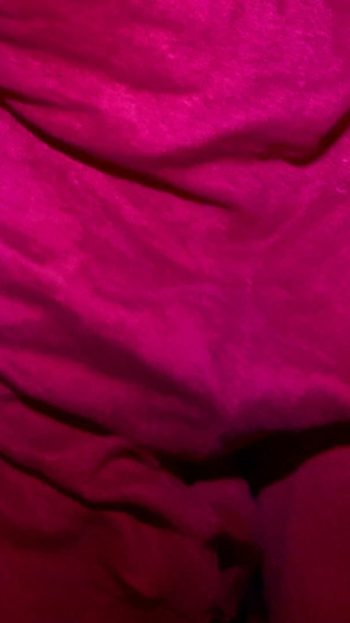 استوديو شاهين